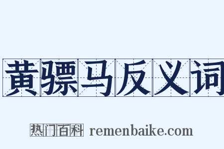 黄骠马反义词是什么意思的图片
